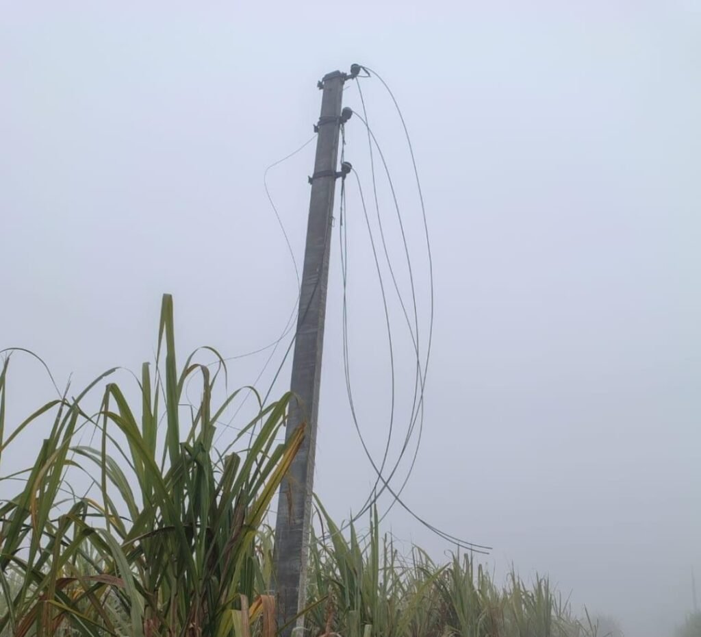 Screenshot_2026-01-19-19-14-16-37_6012fa4d4ddec268fc5c7112cbb265e7