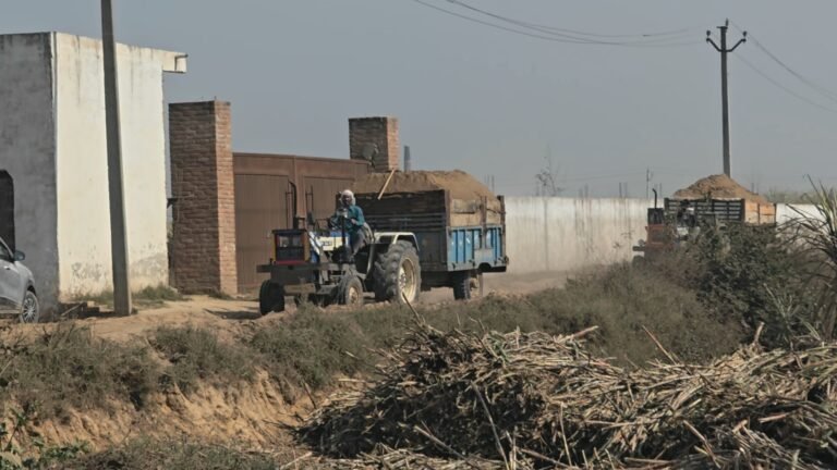 IMG_20260216_09205468